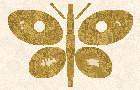 The mosaic published on 20 September 2026, Butterfly