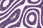 The mosaic published on 22 September 2026, Cartograph